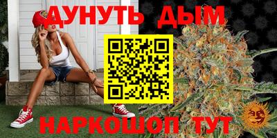 мяу мяу мука Ачхой-Мартан