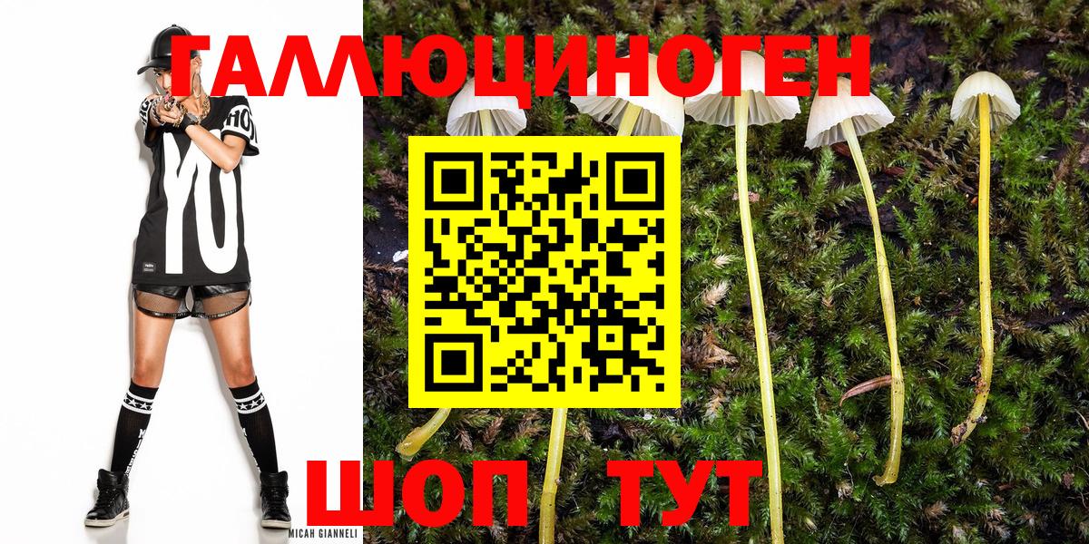 Галлюциногенные грибы мухоморы  Вход с VPN  Бийск 